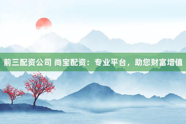 前三配资公司 尚宝配资：专业平台，助您财富增值