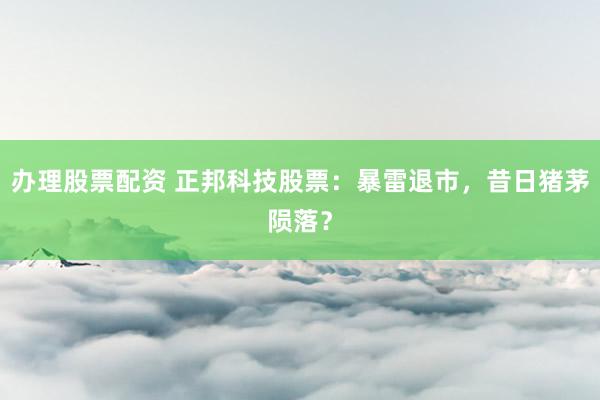 办理股票配资 正邦科技股票：暴雷退市，昔日猪茅陨落？