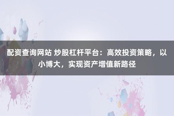 配资查询网站 炒股杠杆平台：高效投资策略，以小博大，实现资产增值新路径