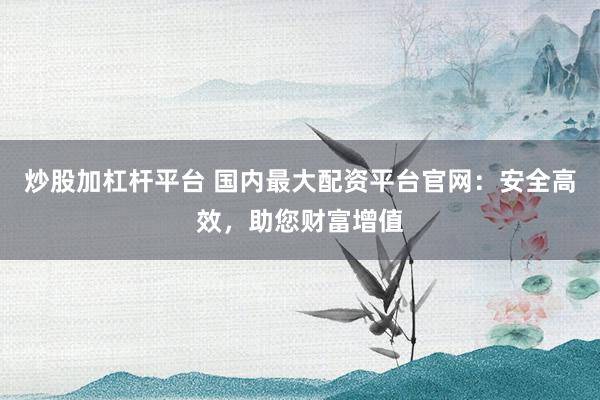 炒股加杠杆平台 国内最大配资平台官网：安全高效，助您财富增值