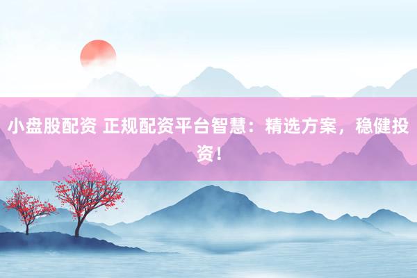 小盘股配资 正规配资平台智慧：精选方案，稳健投资！