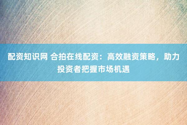 配资知识网 合拍在线配资：高效融资策略，助力投资者把握市场机遇