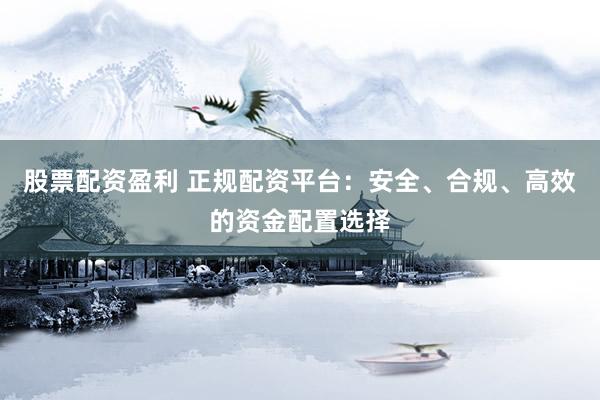 股票配资盈利 正规配资平台：安全、合规、高效的资金配置选择