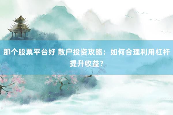 那个股票平台好 散户投资攻略：如何合理利用杠杆提升收益？