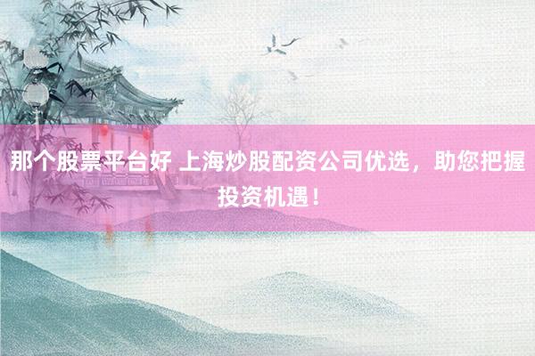 那个股票平台好 上海炒股配资公司优选,助您把握投资机遇!