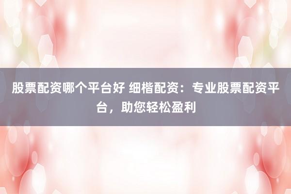 股票配资哪个平台好 细楷配资：专业股票配资平台，助您轻松盈利
