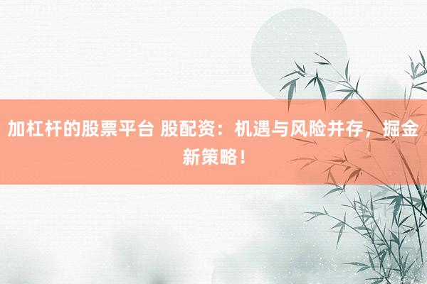 加杠杆的股票平台 股配资：机遇与风险并存，掘金新策略！