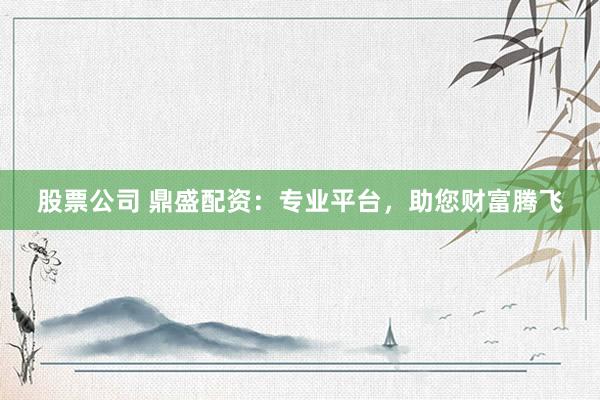 股票公司 鼎盛配资：专业平台，助您财富腾飞
