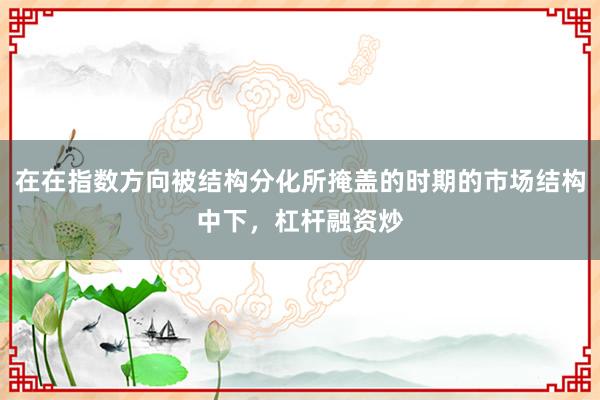 在在指数方向被结构分化所掩盖的时期的市场结构中下，杠杆融资炒