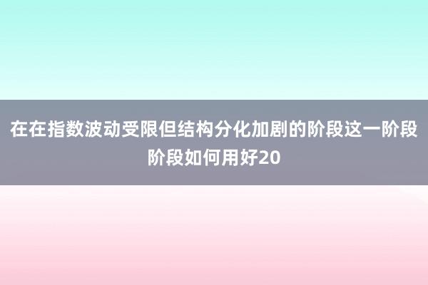 在在指数波动受限但结构分化加剧的阶段这一阶段阶段如何用好20