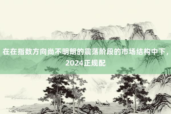 在在指数方向尚不明朗的震荡阶段的市场结构中下，2024正规配