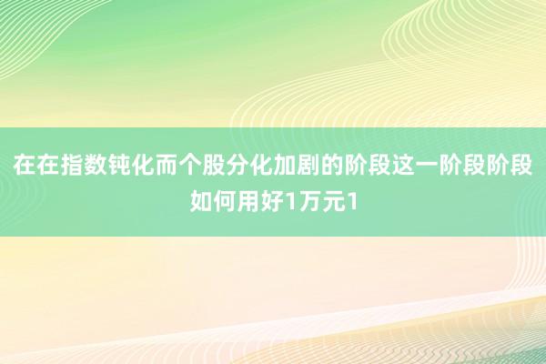 在在指数钝化而个股分化加剧的阶段这一阶段阶段如何用好1万元1