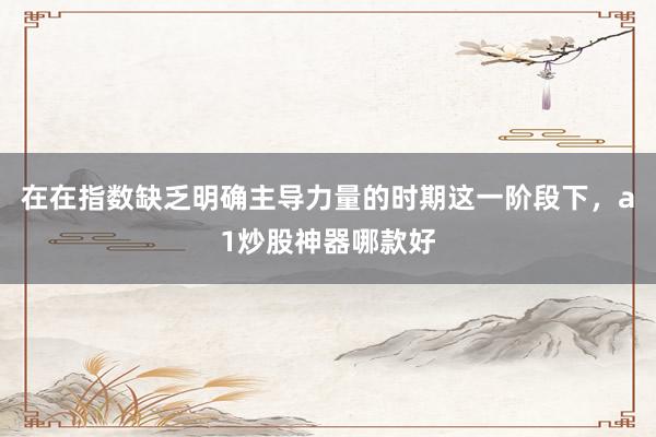在在指数缺乏明确主导力量的时期这一阶段下,a1炒股神器哪款好