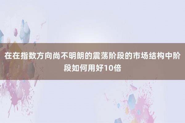 在在指数方向尚不明朗的震荡阶段的市场结构中阶段如何用好10倍