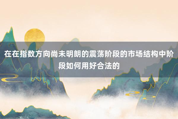 在在指数方向尚未明朗的震荡阶段的市场结构中阶段如何用好合法的