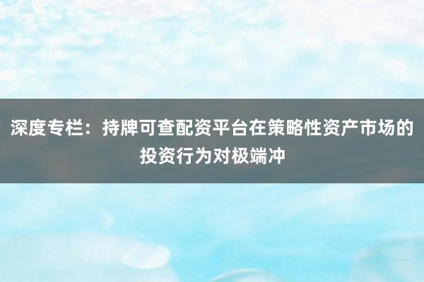 深度专栏：持牌可查配资平台在策略性资产市场的投资行为对极端冲