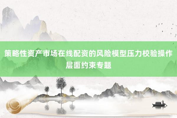 策略性资产市场在线配资的风险模型压力校验操作层面约束专题