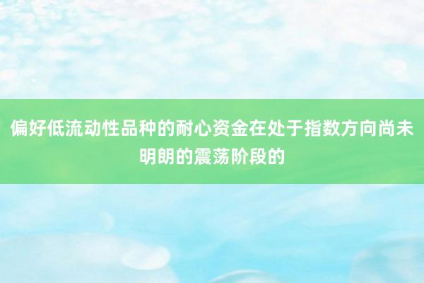 偏好低流动性品种的耐心资金在处于指数方向尚未明朗的震荡阶段的